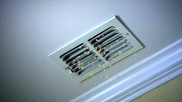 Best Best Air Duct Cleaning Company  in Webberville, MI